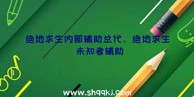 绝地求生内部辅助总代、绝地求生